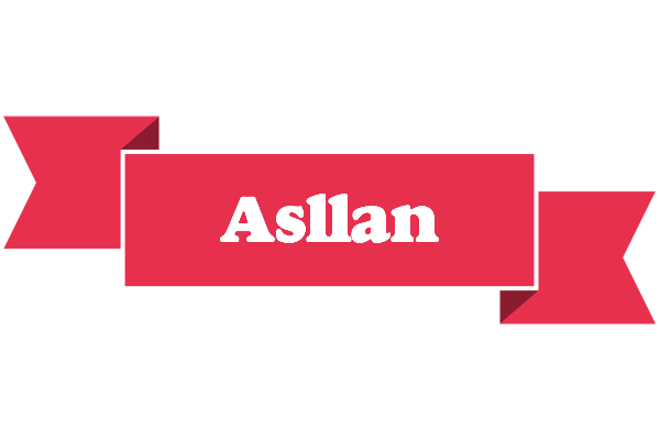 Asllan sale logo