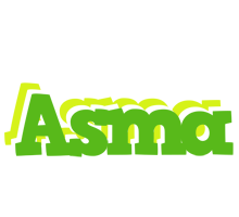 Asma picnic logo