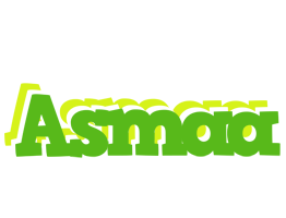 Asmaa picnic logo