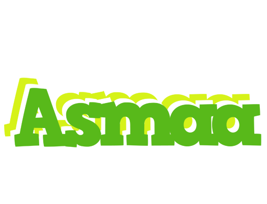 Asmaa picnic logo