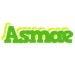 Asmae picnic logo
