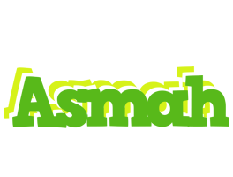 Asmah picnic logo