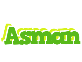 Asman picnic logo