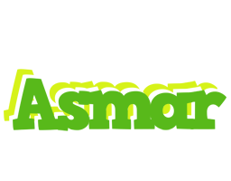 Asmar picnic logo