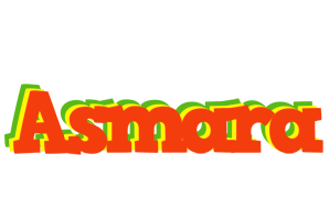 Asmara bbq logo