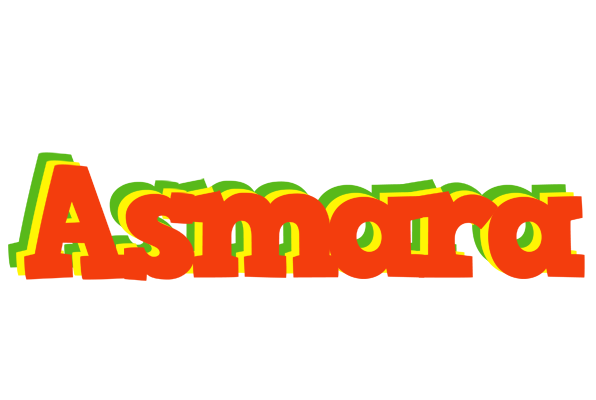 Asmara bbq logo