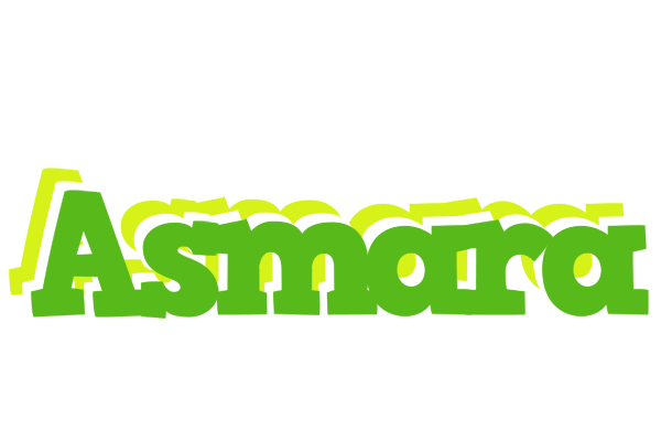 Asmara picnic logo