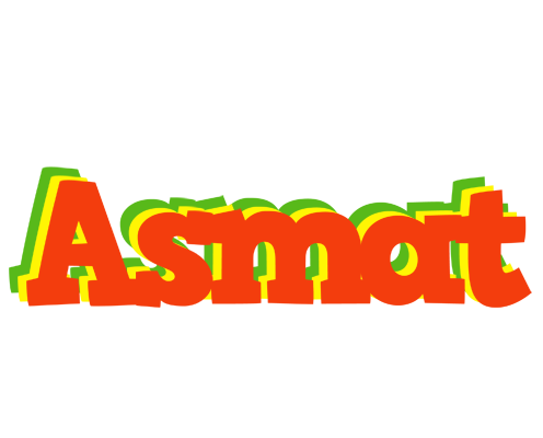 Asmat bbq logo