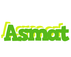 Asmat picnic logo