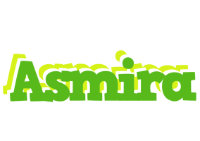 Asmira picnic logo