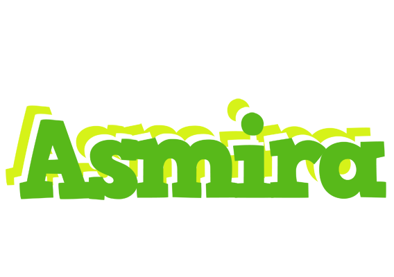 Asmira picnic logo