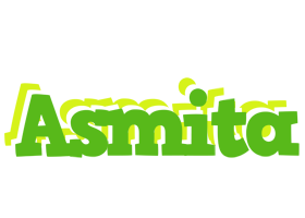 Asmita picnic logo