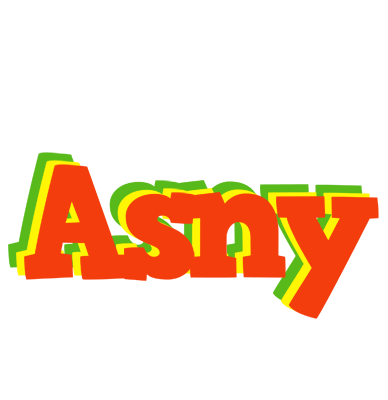 Asny bbq logo