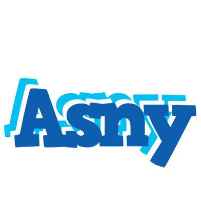 Asny business logo
