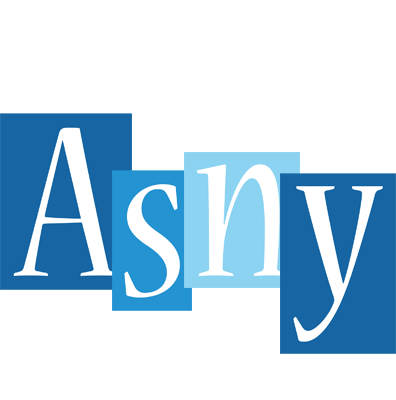 Asny winter logo