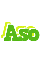 Aso picnic logo