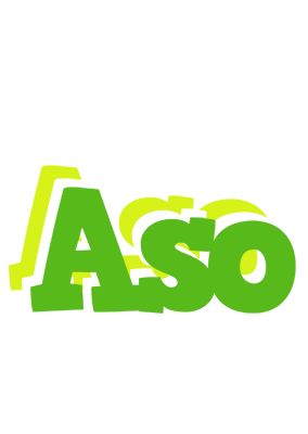 Aso picnic logo