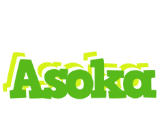 Asoka picnic logo