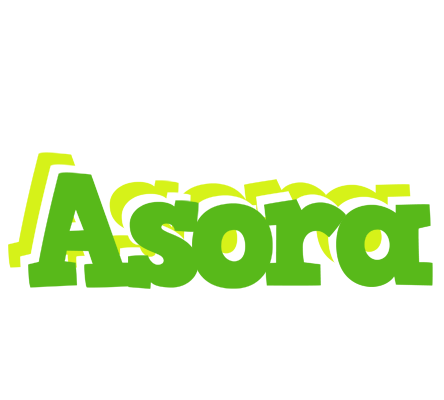 Asora picnic logo