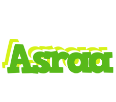 Asraa picnic logo
