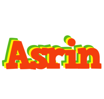 Asrin bbq logo