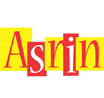 Asrin errors logo