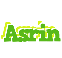 Asrin picnic logo