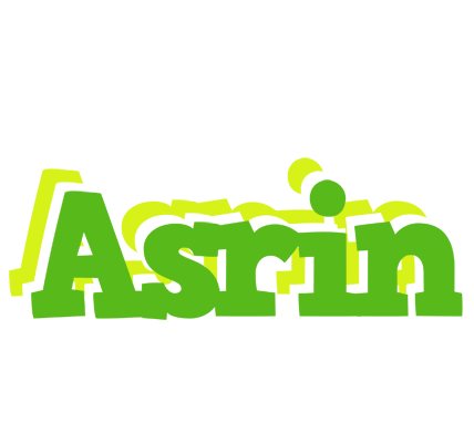 Asrin picnic logo