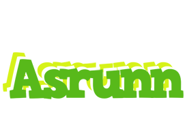 Asrunn picnic logo