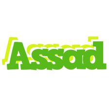 Assad picnic logo