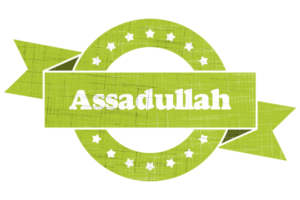 Assadullah change logo