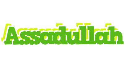Assadullah picnic logo