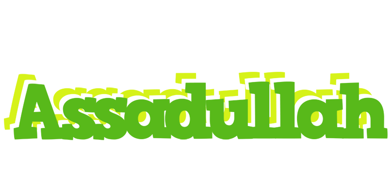Assadullah picnic logo
