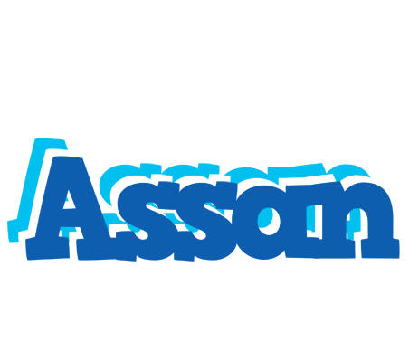 Assan business logo