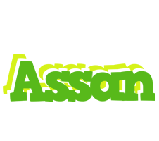 Assan picnic logo