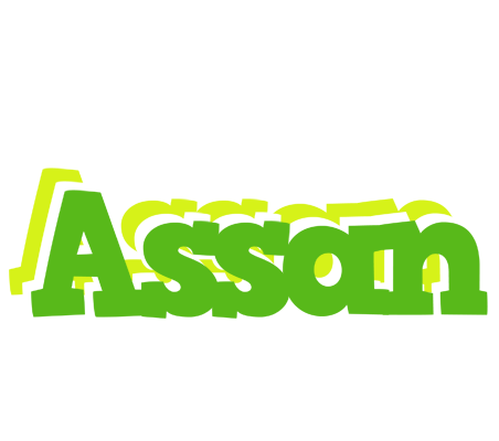 Assan picnic logo
