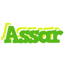 Assar picnic logo