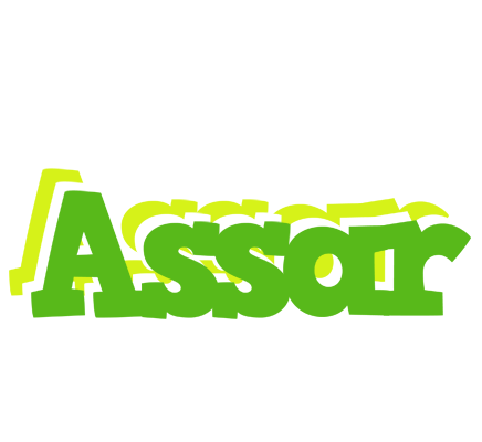 Assar picnic logo