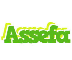 Assefa picnic logo