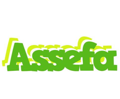 Assefa picnic logo