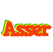 Asser bbq logo