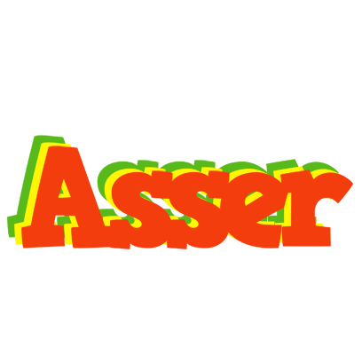 Asser bbq logo
