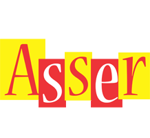 Asser errors logo