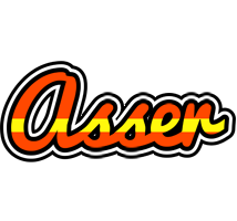 Asser madrid logo