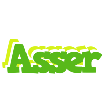 Asser picnic logo