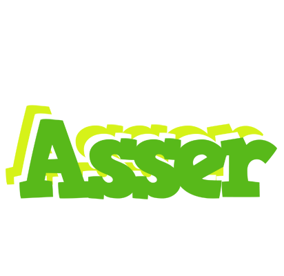 Asser picnic logo