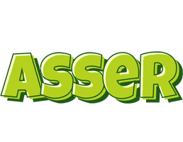Asser summer logo