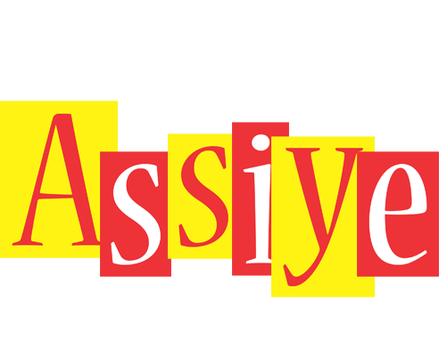 Assiye errors logo