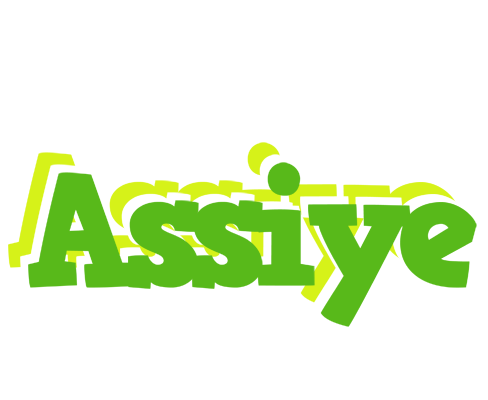 Assiye picnic logo