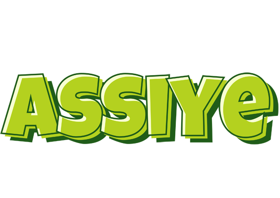 Assiye summer logo